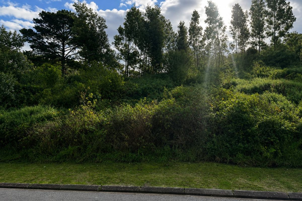 A view of a sloped, undeveloped residential plot featuring dense natural vegetation and mature trees, bordering an asphalt road with a concrete curb.