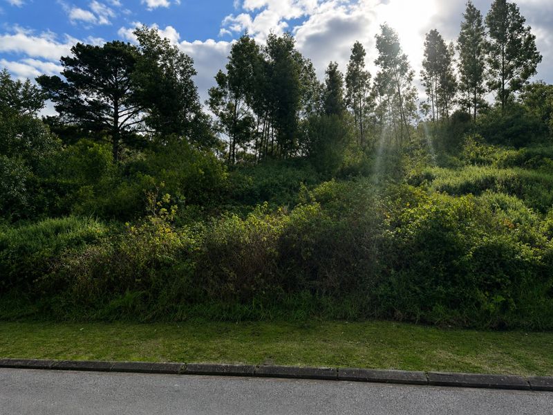 A view of a sloped, undeveloped residential plot featuring dense natural vegetation and mature trees, bordering an asphalt road with a concrete curb.