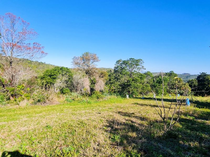 A wide-angle view of the expansive, natural garden area featuring mature trees and open grassy terrain on the farm property.