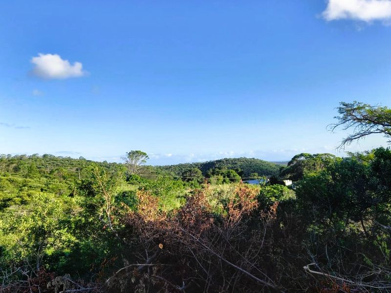 A scenic landscape view overlooking lush green hills and natural vegetation on the farm property.