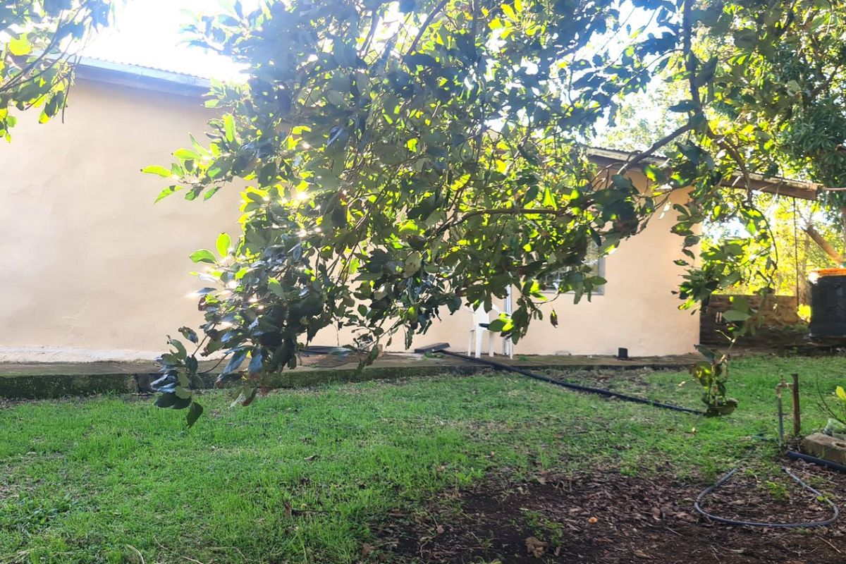 A view of the rear exterior of the farm property, featuring a concrete pathway, lawn area, and mature trees.