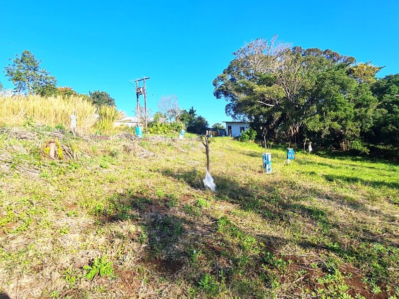 A view of the expansive farm grounds featuring natural vegetation, mature trees, and existing utility infrastructure.