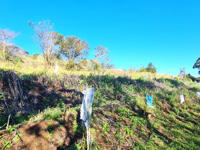 A view of the sloped, cleared land on the farm property, featuring natural vegetation and open space.