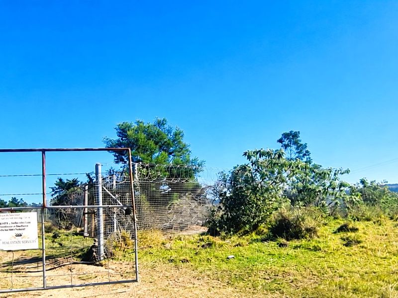 A view of the property entrance featuring a metal farm gate, wire mesh fencing with razor wire, and access to a dirt road.