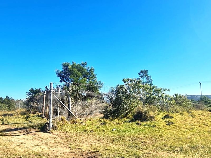 A view of the property entrance featuring wire mesh fencing with razor wire and access to a dirt road.