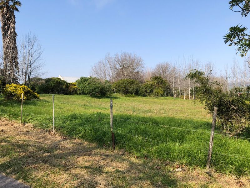 A view of a vacant residential plot featuring grassy terrain, mature trees, and a simple wire perimeter fence.