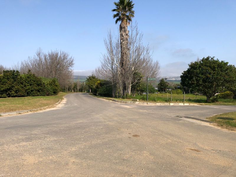 A view of the street intersection and surrounding landscape, showing the paved road, curbing, and established trees in a residential area.