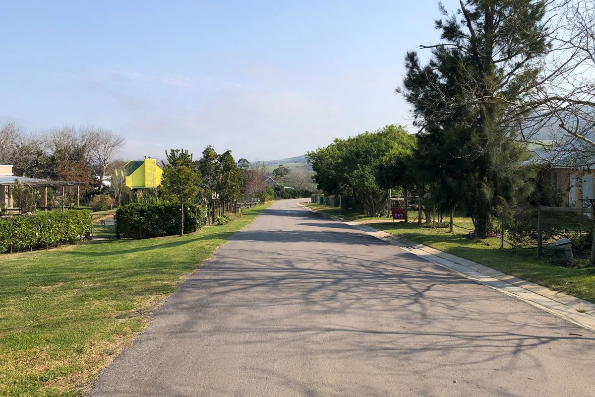 A view of a quiet residential street with paved road, grass verges, and mature trees in a peaceful neighborhood setting.
