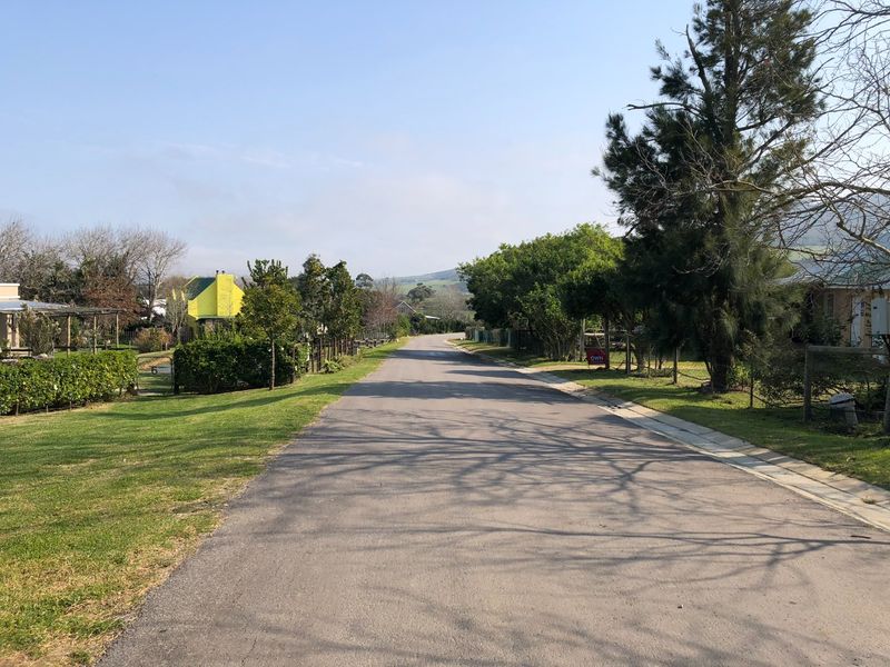 A view of a quiet residential street with paved road, grass verges, and mature trees in a peaceful neighborhood setting.