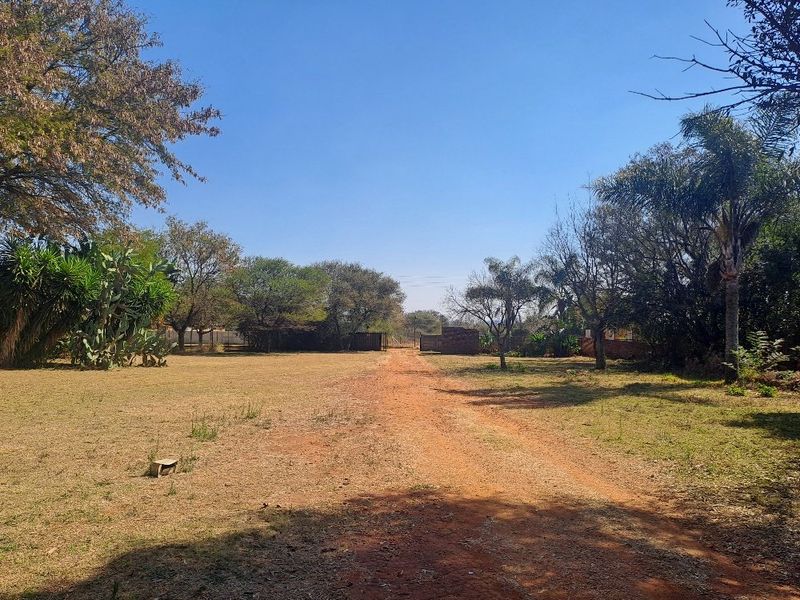A spacious farm garden featuring a long dirt driveway, mature trees, and established landscaping, providing a natural and open outdoor setting.