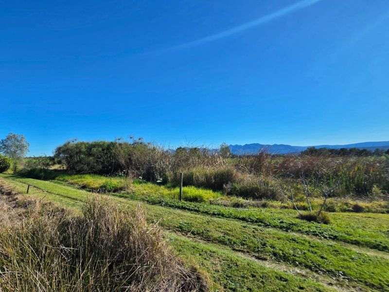A scenic view of the farm landscape featuring natural wetlands, grassy terrain, and distant mountain ranges under a clear blue sky.