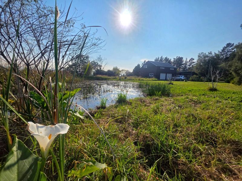 A scenic view of the property's rear garden featuring a natural pond and the main building with garage access.