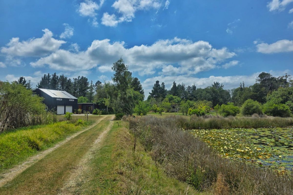 A scenic view of a farm property featuring a gravel driveway leading to a dark-clad building with a metal roof, adjacent to a natural pond.