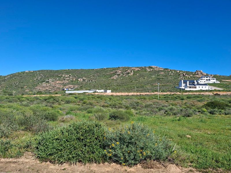 A scenic view of the natural landscape, featuring rolling hills and native vegetation, characteristic of the surrounding residential area.