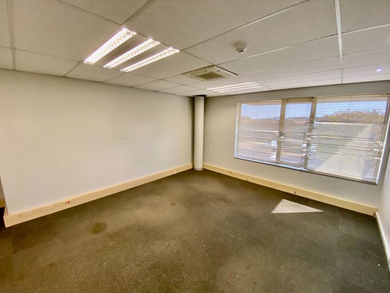 An empty commercial office space featuring a suspended ceiling, recessed lighting, carpeted flooring, and large windows with venetian blinds.