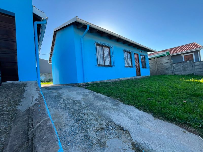 Rear view of a blue painted house featuring a concrete driveway, security bars on windows, and a surrounding boundary wall.