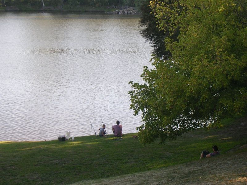 A scenic view of a tranquil waterfront area featuring grassy banks and mature trees, offering a peaceful natural setting.