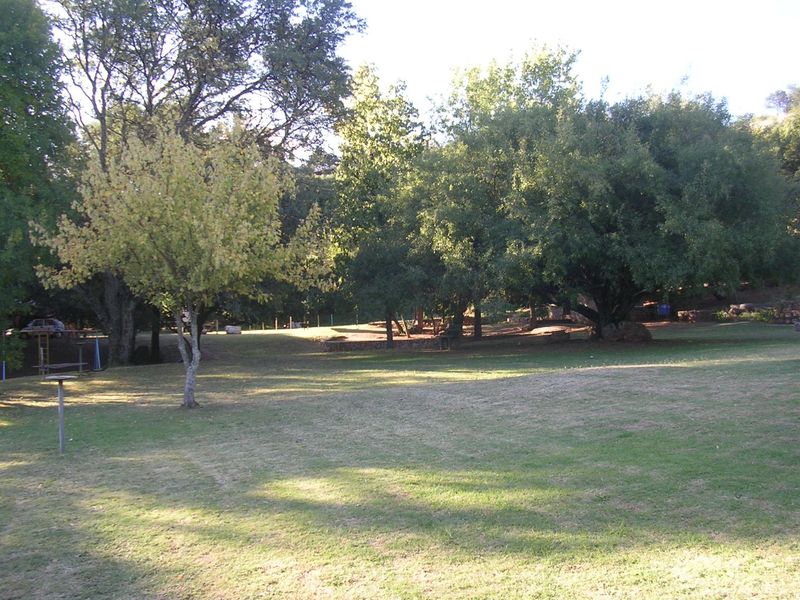 A spacious, well-maintained residential garden featuring established mature trees and a large open lawn area.
