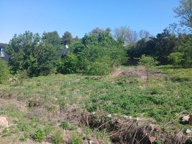 A view of a vacant residential plot featuring natural vegetation and mature trees, suitable for future development.