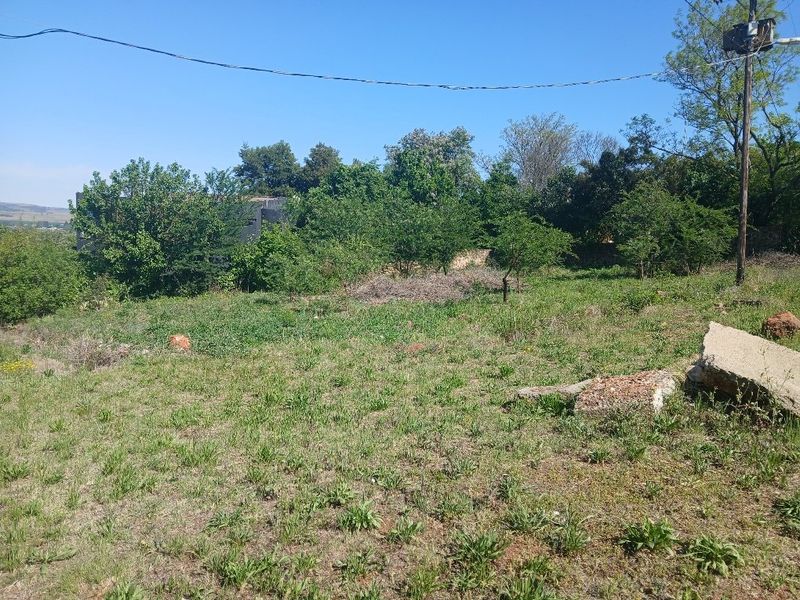A vacant residential plot featuring natural vegetation, scattered debris, and an existing utility pole with overhead power lines.