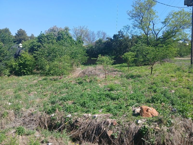 A view of a vacant residential plot featuring natural vegetation and mature trees.