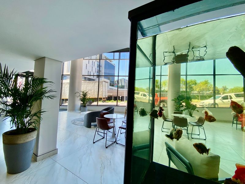 Modern commercial entrance lobby featuring expansive floor-to-ceiling windows, polished tiled flooring, and a bright, open-plan layout.