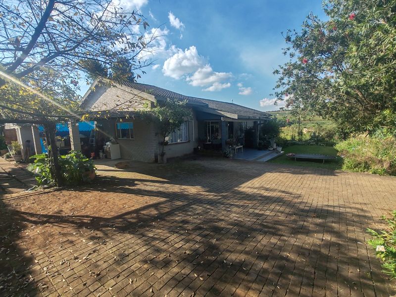 A view of the rear exterior of the house featuring a paved driveway, covered patio area, and a spacious garden.