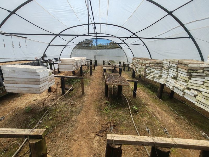 A functional agricultural poly-tunnel greenhouse featuring a metal frame, irrigation lines, and earth flooring, currently used for seedling propagation.
