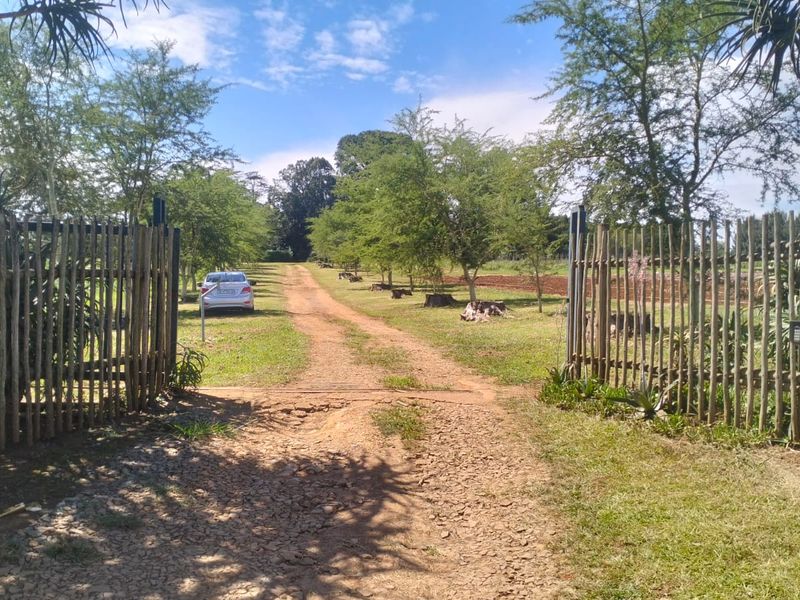 A rustic farm entrance featuring a wooden pole gate opening onto a long dirt driveway lined with mature trees.