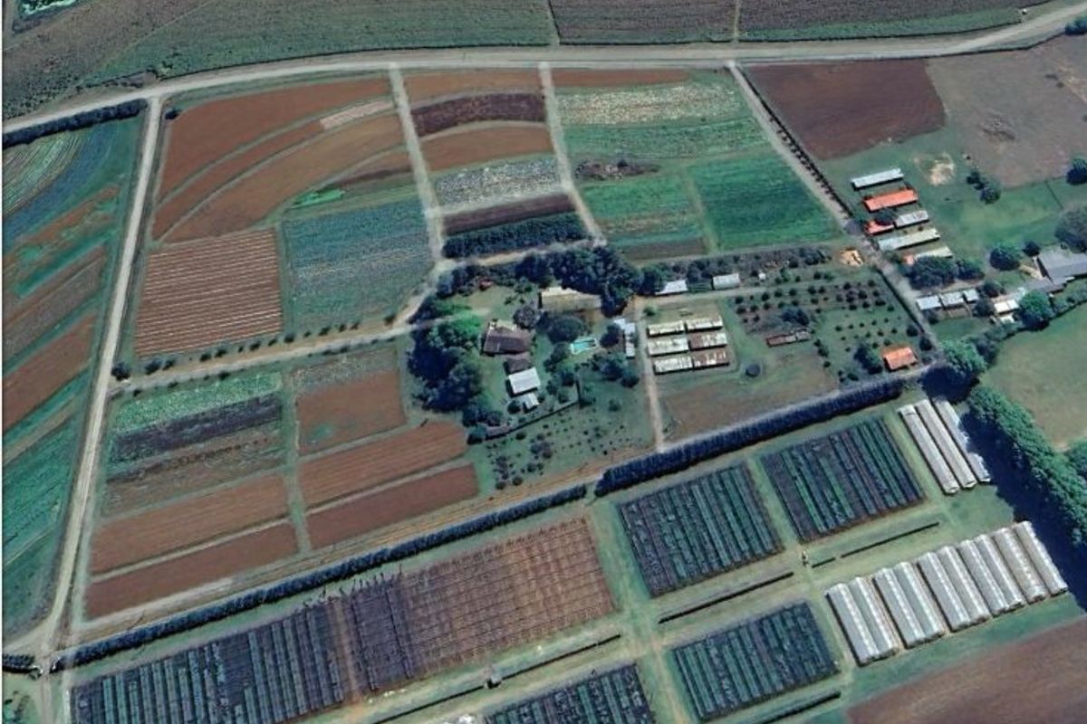 Aerial view of a large farm property featuring extensive cultivated fields, multiple greenhouses, farm outbuildings, and a central residential area with a swimming pool.