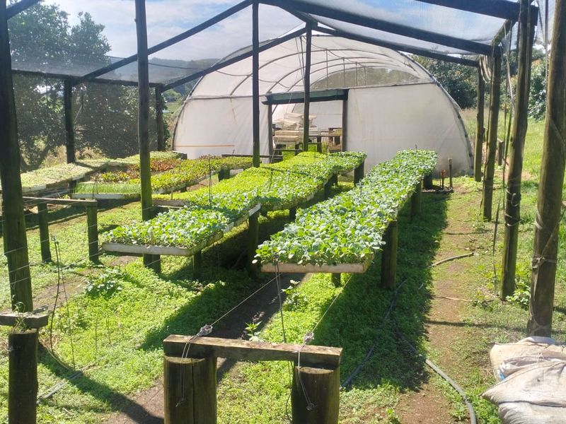 A functional farm greenhouse structure featuring raised planting beds, shade netting, and an integrated irrigation system for agricultural cultivation.