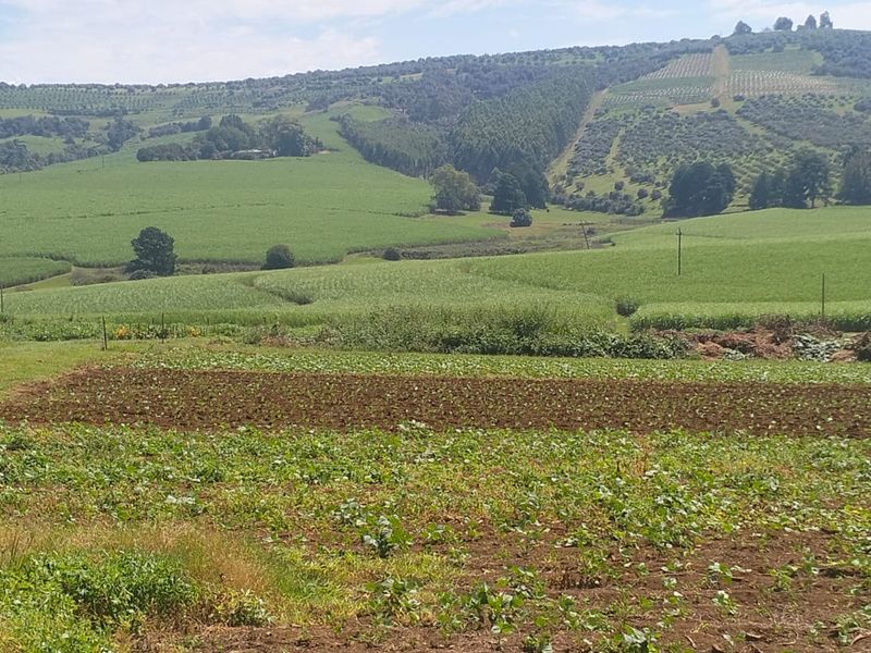 A scenic view of expansive agricultural farmland featuring cultivated fields and rolling hills in a rural setting.