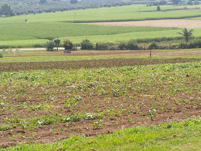 A wide-angle view of the farm property featuring cultivated agricultural fields and open rural landscape.
