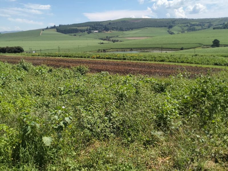 A scenic view of expansive green farmland and rolling hills, showcasing the natural landscape and agricultural potential of the property.