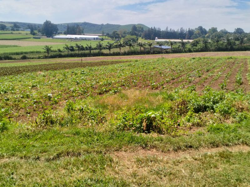 A scenic view of the farm property featuring expansive cultivated agricultural fields and rolling hills in the background.