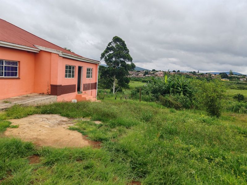 Rear view of a residential house featuring a corrugated metal roof, concrete apron, and surrounding garden area with distant neighborhood views.