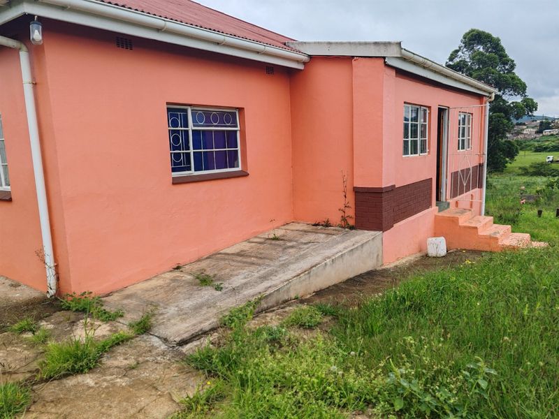 Rear exterior view of the house featuring a concrete access ramp, metal security window bars, and a corrugated metal roof.