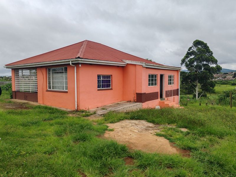 Rear view of a detached house featuring a corrugated metal roof, security bars on windows, and a concrete access ramp set on a grassy plot.