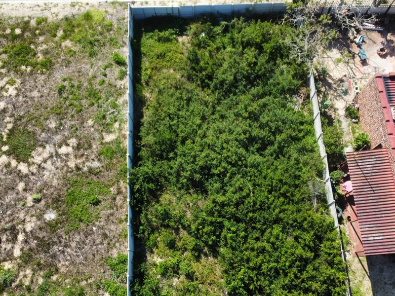 Aerial view of a vacant residential plot featuring dense vegetation and perimeter walling, offering a clear perspective of the property boundaries.