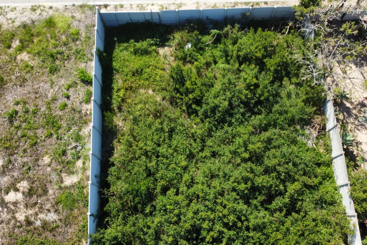 Aerial view of a vacant residential plot enclosed by precast concrete boundary walls, currently covered in dense, overgrown vegetation.