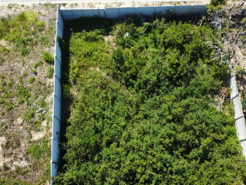 Aerial view of a vacant residential plot enclosed by precast concrete boundary walls, currently covered in dense, overgrown vegetation.