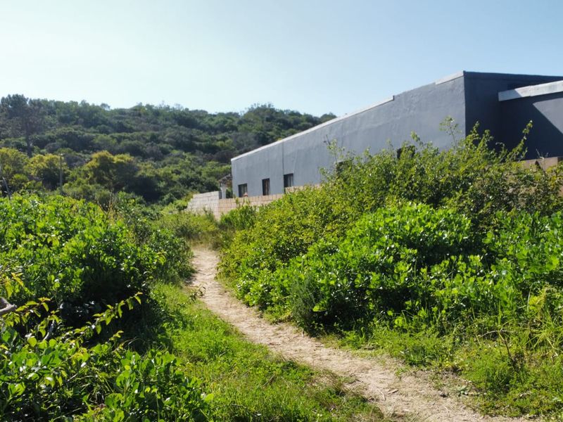 A view of the rear exterior of the property, featuring a painted facade and a boundary wall surrounded by natural vegetation.