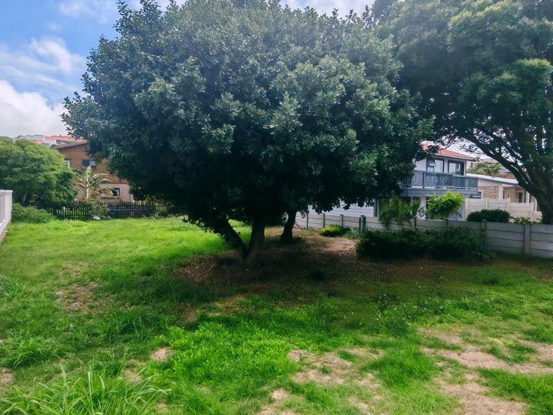 A spacious residential garden area featuring mature trees, established lawn, and secure precast concrete boundary walling.