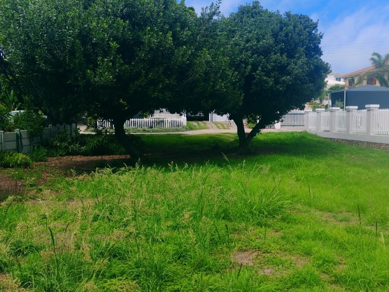 A spacious residential plot featuring established trees, a white picket fence, and a concrete boundary wall, offering a clear area for potential development.