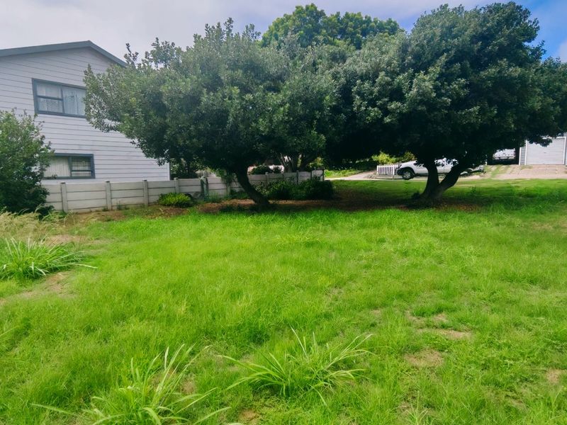 A spacious residential garden area featuring a grass lawn, mature trees, and a precast concrete boundary wall.