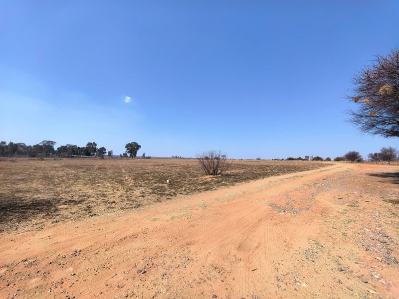 A wide-angle view of a vacant residential plot featuring a dirt access road and open, undeveloped land under a clear blue sky.