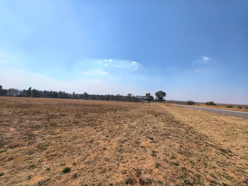 A wide-angle view of a vacant residential plot adjacent to a paved road, featuring open land and natural vegetation.