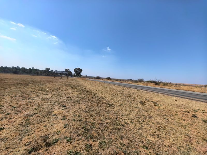 A view of the vacant residential land adjacent to an asphalt road, featuring open grassland under a clear blue sky.