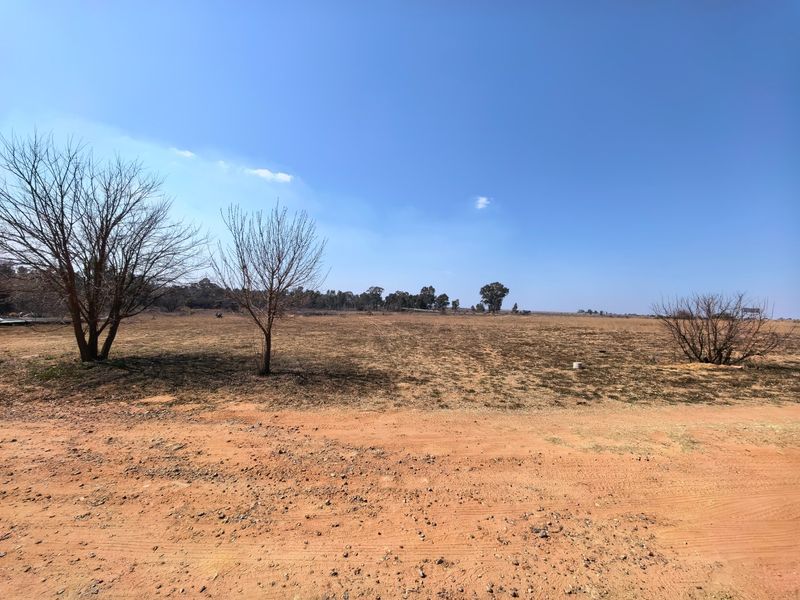 A wide-angle view of a vacant residential plot featuring natural vegetation and access via a dirt road.