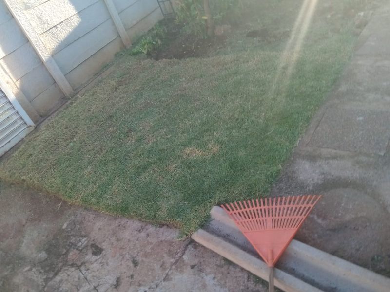 A small residential garden area featuring a patch of lawn, a paved walkway, and a precast concrete boundary wall.